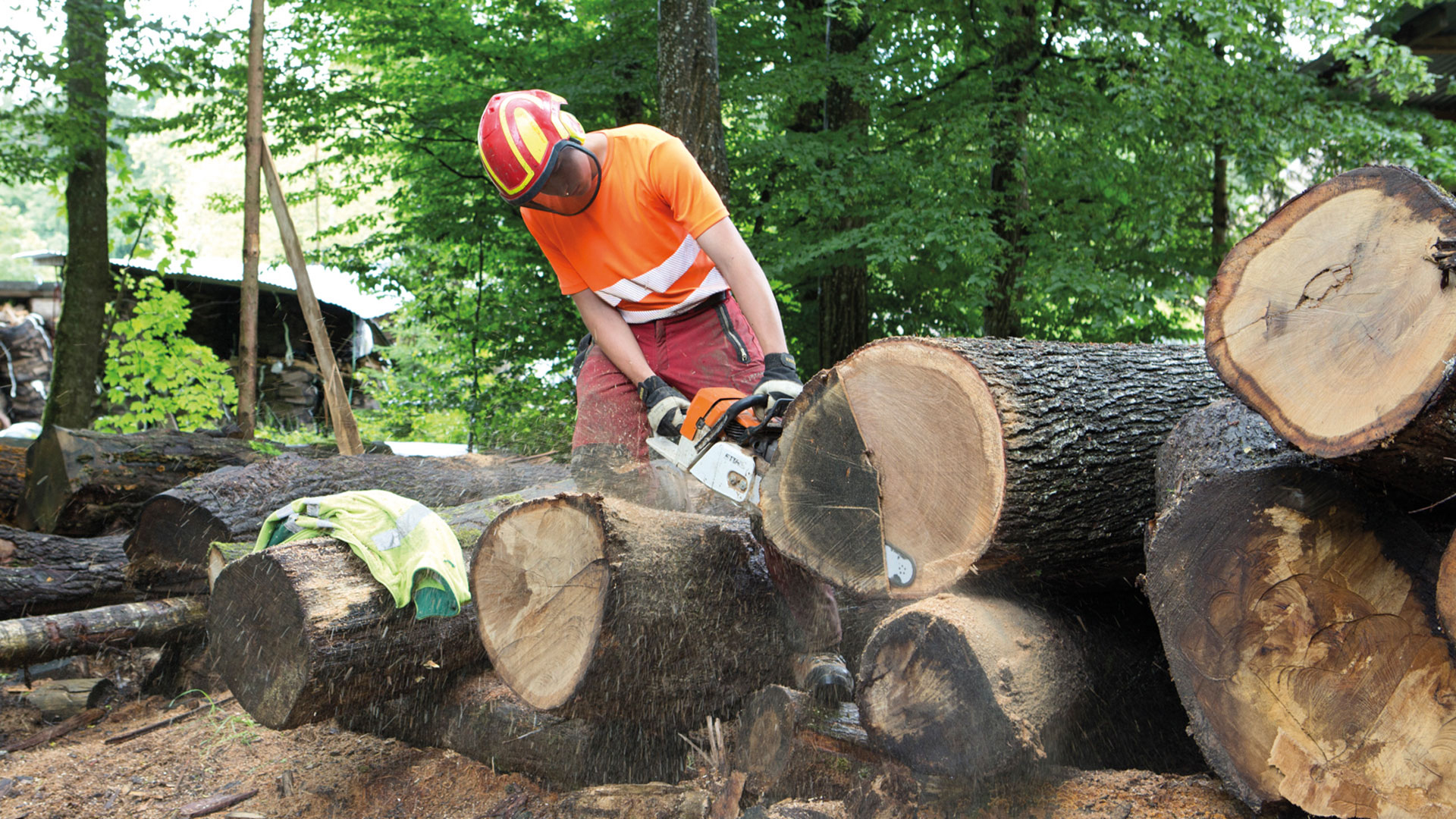 Ein Mann sägt mit einer Motorsäge einen von vielen liegenden Baumstämmen im Wald.