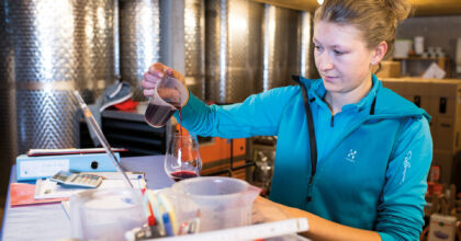 Weintechnologin beim Abfüllen einer Weinprobe in ein Weinglas.