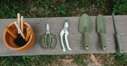 Draussen auf einem Holzbrett liegen verschiedene kleine Gartenwerkzeuge aufgereiht nebeneinander.